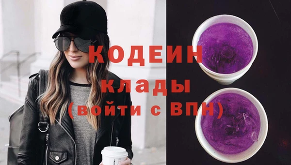 дживик Арсеньев