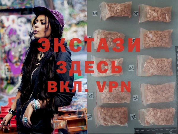сатива Новозыбков