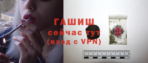 СК Новодвинск