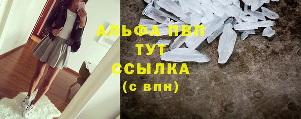 дживик Арсеньев