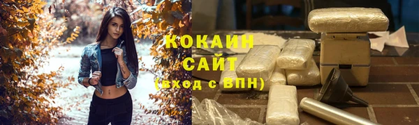 дживик Арсеньев