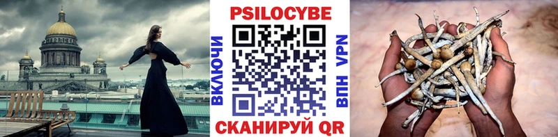 Псилоцибиновые грибы мицелий  Рыбное 